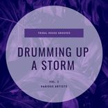 Portada para "Drumming Up A Storm (Tribal House Grooves), Vol. 2"