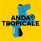Artwork for "THIS IS ANDA"