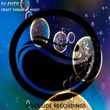 Portada para "Crazy Things At Night"