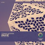 Artwork for "Zule / Avis"