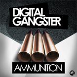 Artwork for "Ammunition"