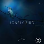 Artwork for "Lonely Bird"