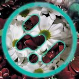 Artwork for "Get Out The Hotel"