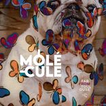 Portada para "Molécule"