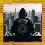 Artwork for "Breaks Funky Full Melodi"