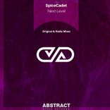 Artwork for "Next Level"