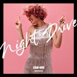 Portada para "Night Drive"