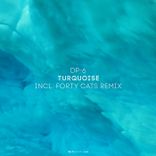 Portada para "Turquoise"