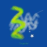 Artwork for "True Air"