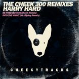 Artwork for "The Cheek300 Mixes"