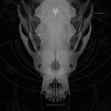 Artwork for "Puppetskin"