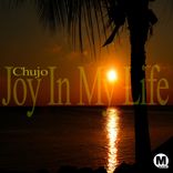 Joy In My Life