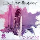 Artwork voor "Follow Me"