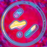 Artwork for "Supersonic"