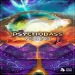 Artwork for "Psychedelic Ride"
