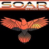 Artwork for "Soar"
