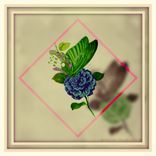 Artwork for "Elevate"