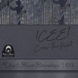 Artwork voor "Cross The Wall"