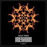 Portada para "Underground"