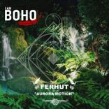 Artwork for "Aurora Motion"