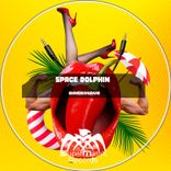 Portada para "Space Dolphin"