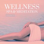 Artwork für "Wellness, Spa & Meditation, Vol. 4"
