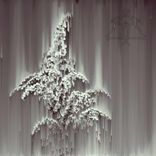 Artwork für "Tensions of Our Times"