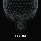 Artwork for "Felina"