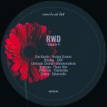 Artwork for "RWD, Vol. 4"