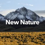 Artwork for "New Nature"