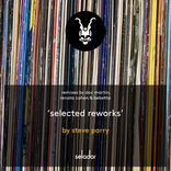 Portada para "Selected Reworks"