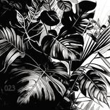 Artwork for "Jungle Beats 2023"