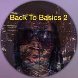 Artwork for "Back To Basics, Vol. 2"