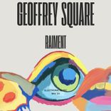 Artwork für "Raiment"