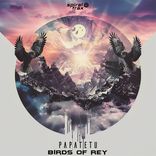 Artwork for "Birds Of Rey"