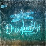 Artwork voor "Dragonfly"