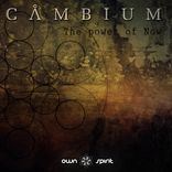 Artwork for "The Power of Now"