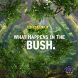 Artwork for "What Happens In The Bush"