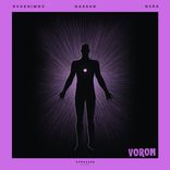 Artwork for "VORON (Extended Mix)"