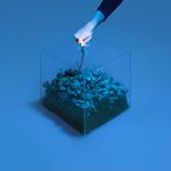 Portada para "What's It Gonna Take"