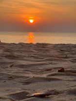 Artwork for "Bryan Ferry - Don't Stop The Dance"