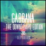 Artwork voor "The Downtempo Edition"