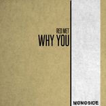 Artwork for "Why You"