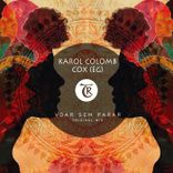 Artwork for "Voar Sem Parar"