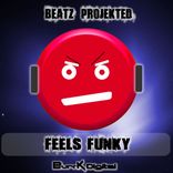 Artwork for "Feels Funky"