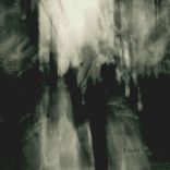 Artwork für "Laniakea"