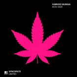 Artwork voor "Acid Haze"