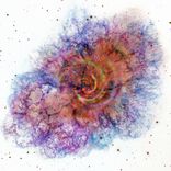 Artwork for "Reason"