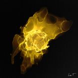 Artwork für "Anything (Ceas Remix)"