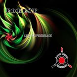 Portada para "Life Experience"